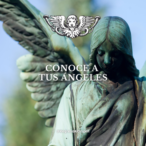 Coaching Angelical Privado